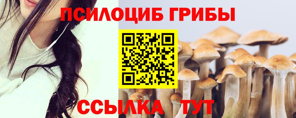 Галлюциногенные грибы Magic Shrooms Карабулак